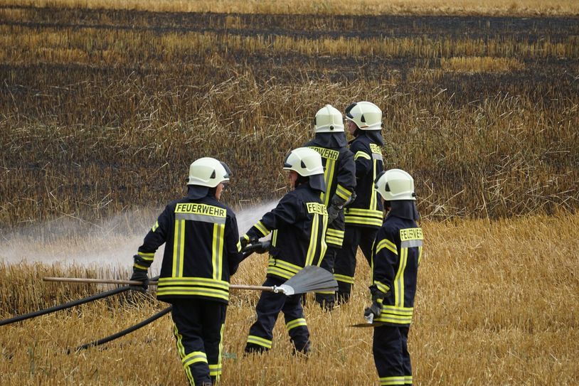 Fotos: „LausitzNews“