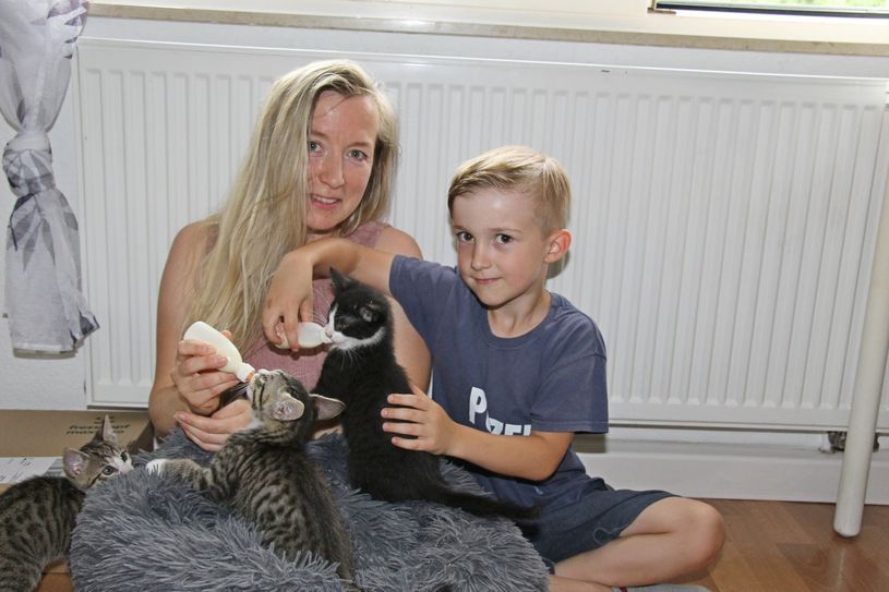 Marleen Hannusch und ihr Sohn Paul kümmern sich derzeit um vier verwaiste Katzenkinder.