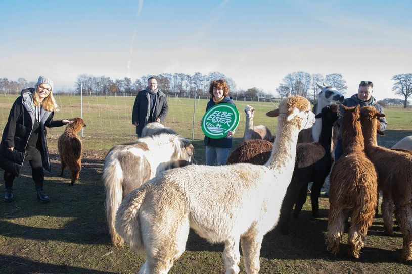 Schauen in Corona-Zeiten nach vorn – das Kooperationsteam von IHK und Landkreis Elbe-Elster beim Videodreh vor Ort bei Alpaca Island in Hohenbucko: Janine Niederstraßer, Marketingkoordinatorin, Landkreis Elbe-Elster; Uwe Röder, IHK Regionalcenter Elbe-Elster; Sabine Münster, Mitarbeiterin Landwirtschaft und Projekte Regionale Wirtschaftsförderungsgesellschaft Elbe-Elster mbH; und Mathias Schellack, Regionalsiegelträger Elbe-Elster (v.l.n.r.). Foto Christina Gaudlitz/IHK Cottbus