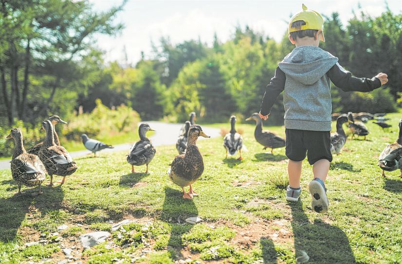 Der neu geplante Meißner Tierpark soll künftig als besonderer Anlaufpunkt für Familien die Begegnung von Familien - besonders Kindern - mit Tieren ermöglichen.