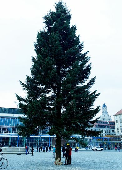 Fotos: Büttner