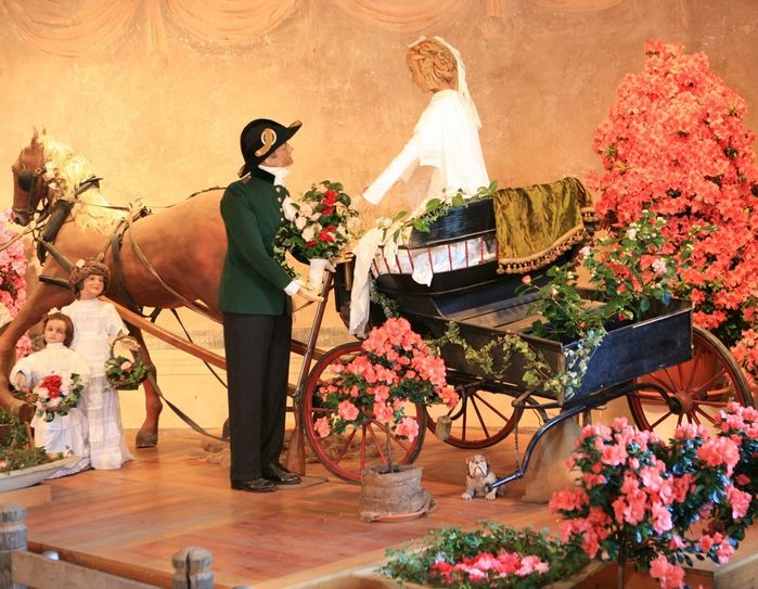 Julchens Hochzeit wird von leuchtenden Azaleen umrankt.