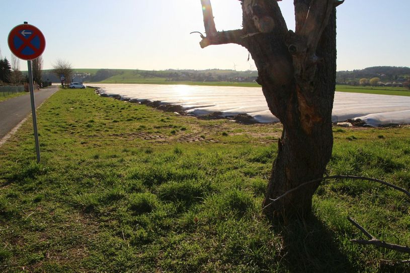 Nach dem Wunsch der Gemeinde sollen in Nieschütz »Am Sand« neue Häuser gebaut werden. Die Anwohner sind dagegen. Eine Entscheidung wurde wieder vertagt. Foto: Farrar