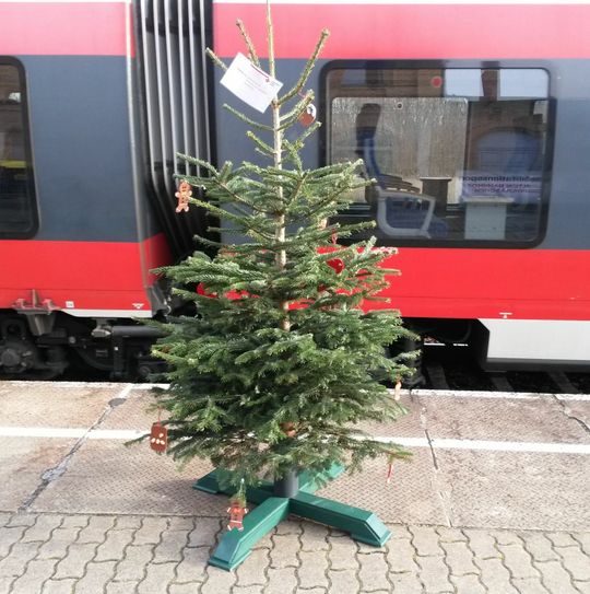 Mit dem Zug kam der Weihnachtsbaum wieder zurück nach Senftenberg. Foto: Polizei