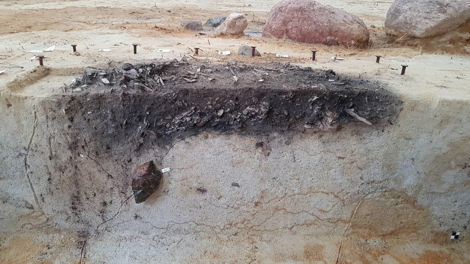 Jungbronzezeitliche Siedlung im Tagebau Nochten - Querschnitt Grabstelle. Foto: LEAG