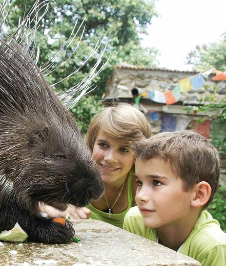 In den Ferien gibt es im Tierpark in Görlitz für den Nachwuchs viel zu entdecken. Foto: www.zoo-goerlitz.de