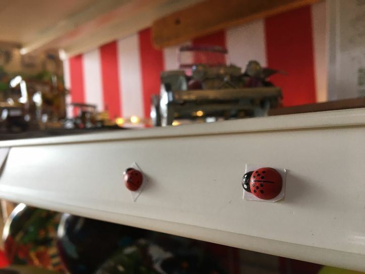 Eine Aktion zur Neueröffnung: Im ganzen Laden sind Marienkfer verteilt. Die können die Kunden zählen und dann an einem Gewinnspiel teilnehmen. Foto: Keil