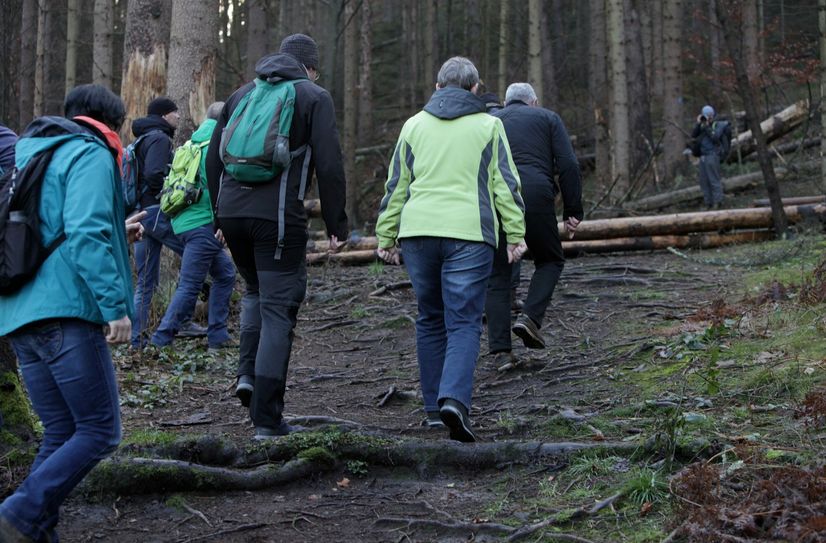 Die Wanderung der Naturpark-Bürgerinitiative führte teilweise durch unwegsames Gelände – überall versperren umgefallene Bäume die Wege.