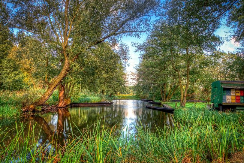 Immer eine Augenweide: Die historische Spreewaldlandschaft.
