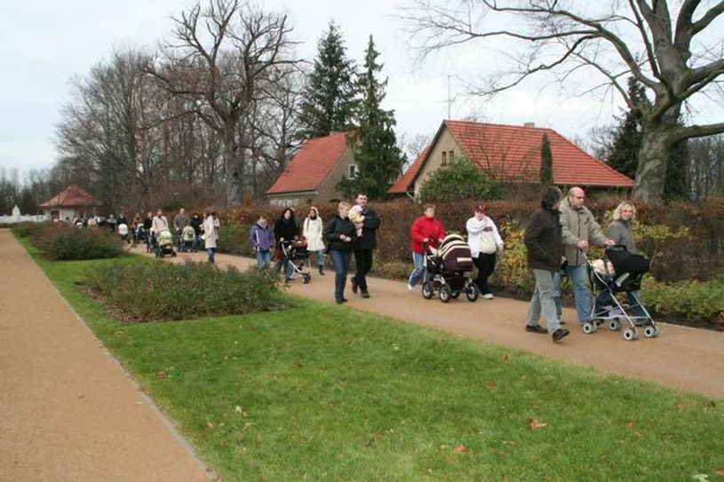 Ein schöner Anblick seit 2007: Jedes Jahr kommen die Familien mit ihren Babys den Hauptweg entlang.
