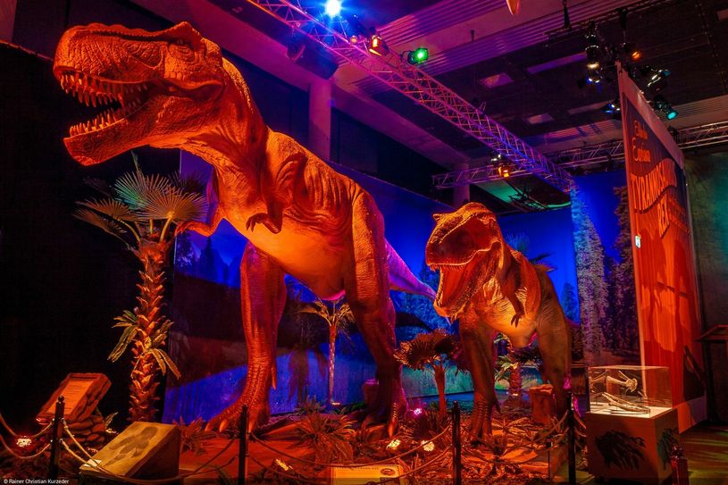 Tyrannosaurus Rex & Co. kommen ins Areal Zeitenströmung. Foto: SC Exhibitions