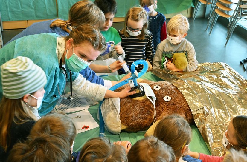 Teddy wird operiert. Was passiert da eigentlich? Hier können Kinder fragen.