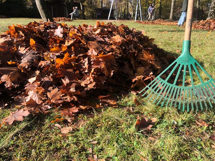 Mitmachen beim Herbstputz am 16. November 2024.