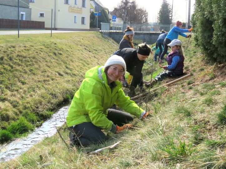 Julia Becher (vorn) vom BUND legt selbst mit Hand an bei der Pflanzaktion in Ralbitz-Rosenthal, OT Schönau. Und auch der Nachwuchs will schon helfen.