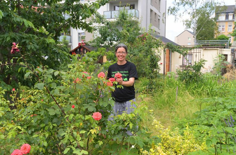 Dresdens Kleingartensparte Flora 1 in Striesen - hier Blick in das Kunsthausgartenprojekt "Parzelle 3" mit  Christiane Mennicke-Schwarz als dies begann.