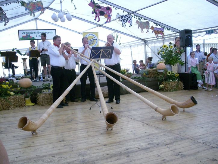 Die Holzland-Alphornbläser sind beim Almabtrieb zu Gast.