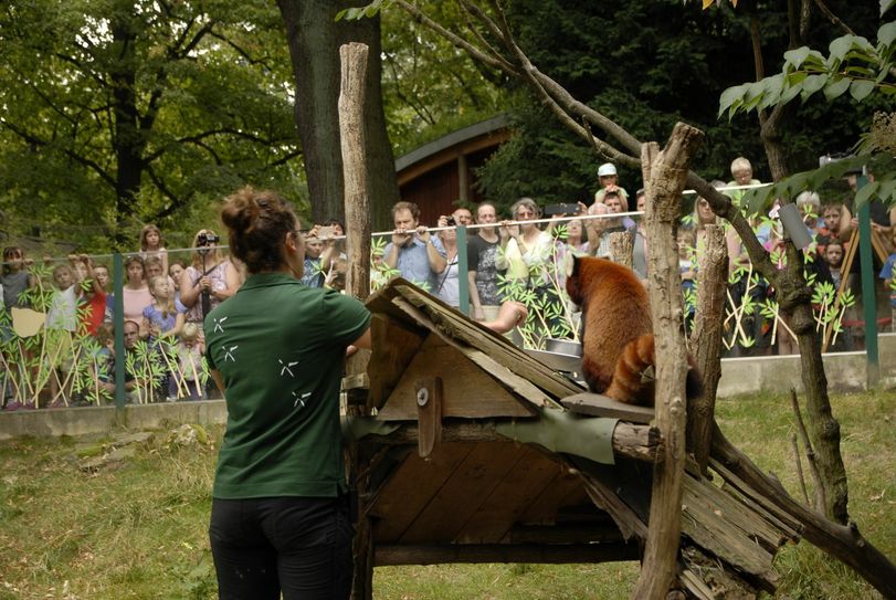 Der Görlitzer Tierpark lädt am Sonntag zum Tierparkfest mit Flohmarkt. Foto: www.zoo-goerlitz.de, C. Hammer