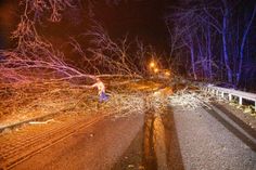 Der umgekippte Baum versperrte den Drebnitzer Weg.