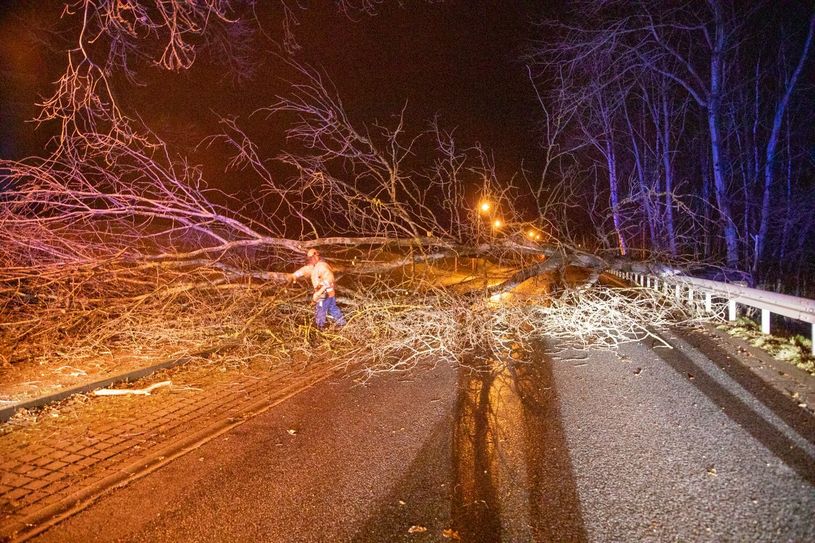 Der umgekippte Baum versperrte den Drebnitzer Weg.
