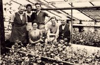 Die Brigade »Kamelien« im nun volkseigenen Betrieb um 1955. Ganz rechts der Obergärtner Bernhard Lauterbach.