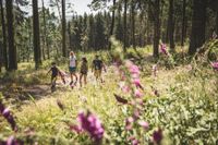 Wandern im Oberlausitzer Bergland