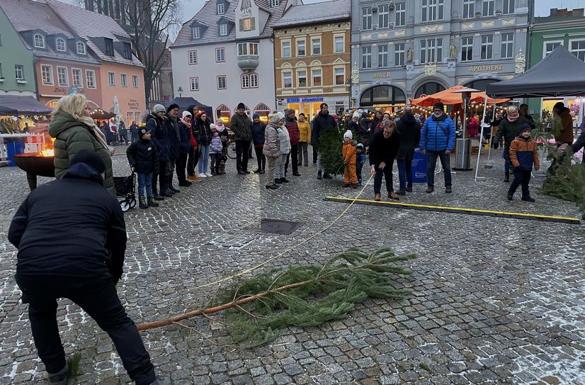 Auch 2025 wird gemessen, wie weit die Bäume beim Weihnachtsbaum-Weitwurf fliegen.