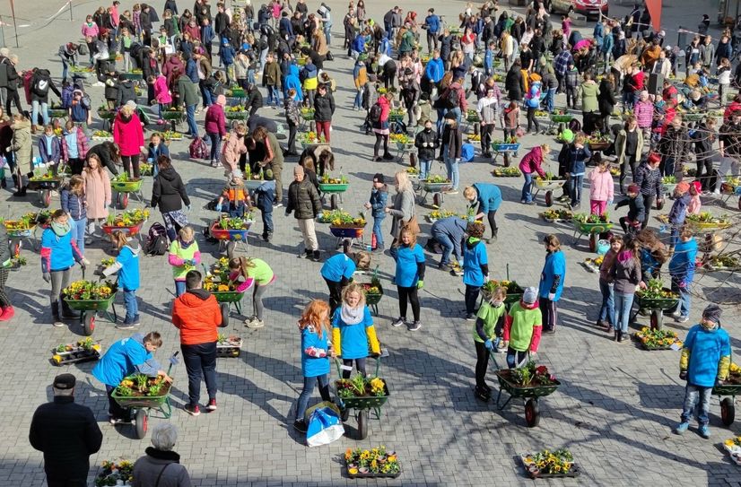 Das »Schubkarrenprojekt« mit den Gartenbaubetrieb Rüdiger Winde aus Schönborn fand im vergangenen Jahr auf dem Markt in Finsterwalde statt.