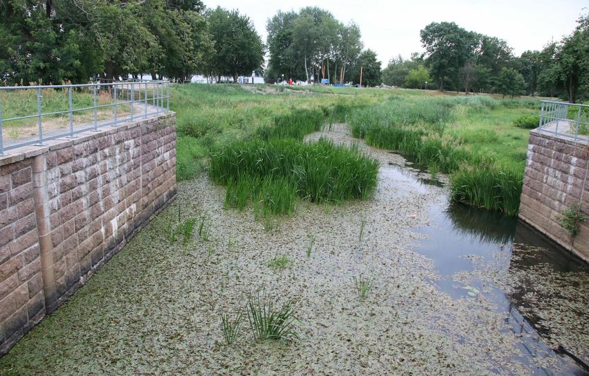 Schwarze Elster nahe dem Stadthafen Senftenberg. Foto: Bernd Naumann