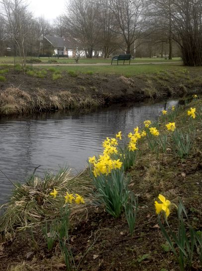Auch der Spreeauenpark freut sich auf seine Naturliebhaber. Die Frühjahrsbepflanzung ist abgeschlossen und die ersten Frühlingsblüher präsentieren sich bereits in voller Pracht.