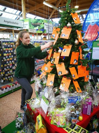 Azubine Julia Ranft schmückt den Spendenbaum. Foto: Axmann