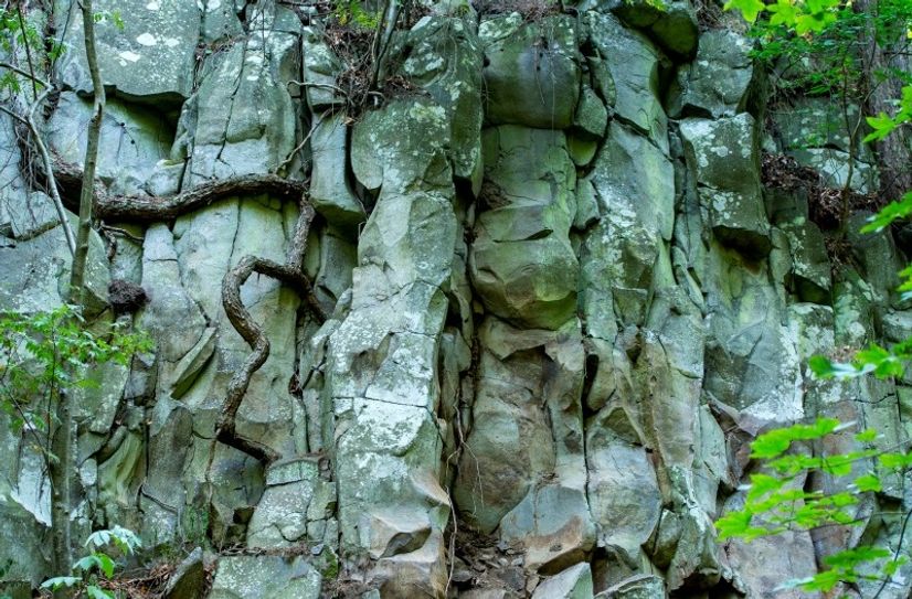 Im GEOPARK Sachsens Mitte zeigen sich mehrere hundert Millionen Jahre Erdgeschichte.