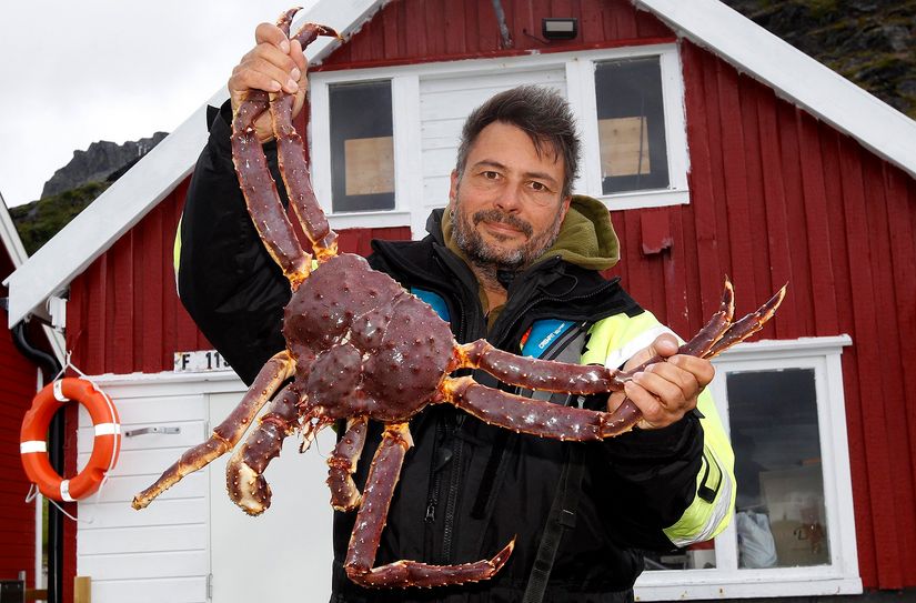 Roland Marske mit einer Königskrabbe.