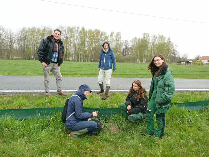 Hoyerswerdas Zooleiter Eugène Bruins überbrachte Angelika Schröter, Geschäftsführerin der Naturschutzstation und ihrem Team die frohe Botschaft bei einer Amphibien-Schutzaktion. Foto: pm