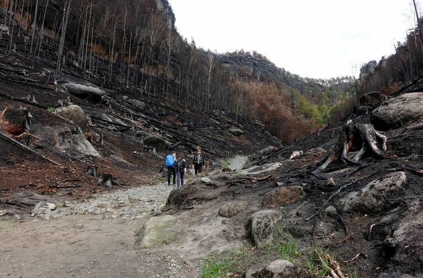 Nach den Waldbränden gleicht das Prebischtor-Gebiet streckenweise einer Mondlandschaft.