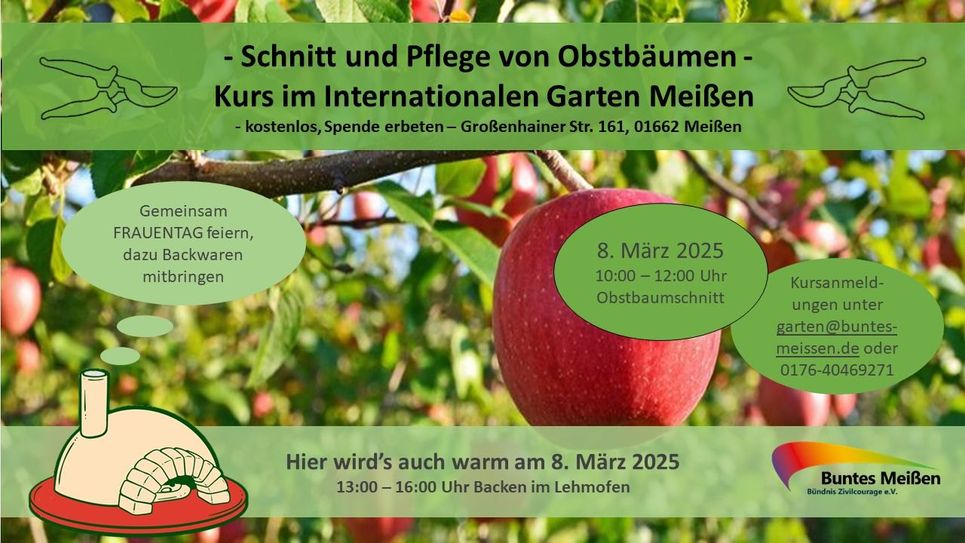 Frauentagstreff mit Obstbaumschnitt und gemeinsamen Backen im Internationalen Garten in Meißen.