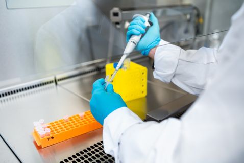 Zum Tag der offenen Hochschule werden neben Studienberatung zu Studiengängen, Bewerbung und Finanzierung auch Laborführungen, praxisnahe Experimente und Schnuppervorlesungen angeboten.  Bildrechte: Hochschule Zittau/Görlitz