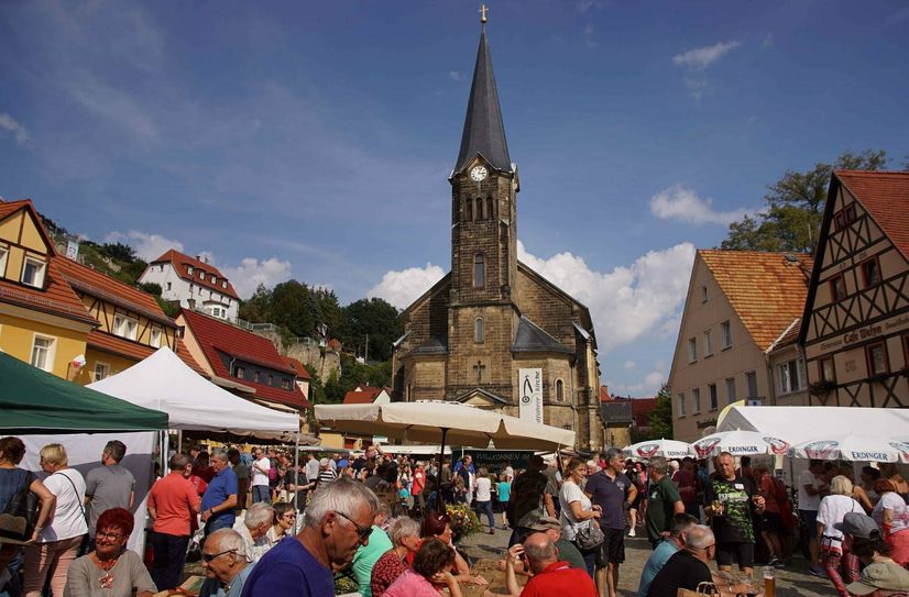 Seit mittlerweile 26 Jahren zeiht der Naturmarkt Sächsische Schweiz viele Besucher auf den Marktplatz in Stadt Wehlen.
