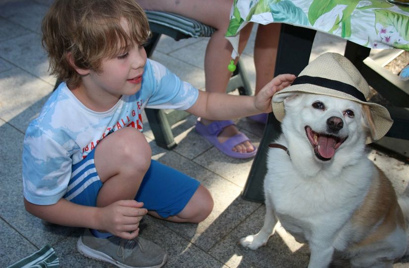 Sie sind Spielkameraden, Beschützer, Seelentröster und beste Freunde. Hunde und Katzen sind aber auch Lebewesen, die unsere Fürsorge und Aufmerksamkeit brauchen.