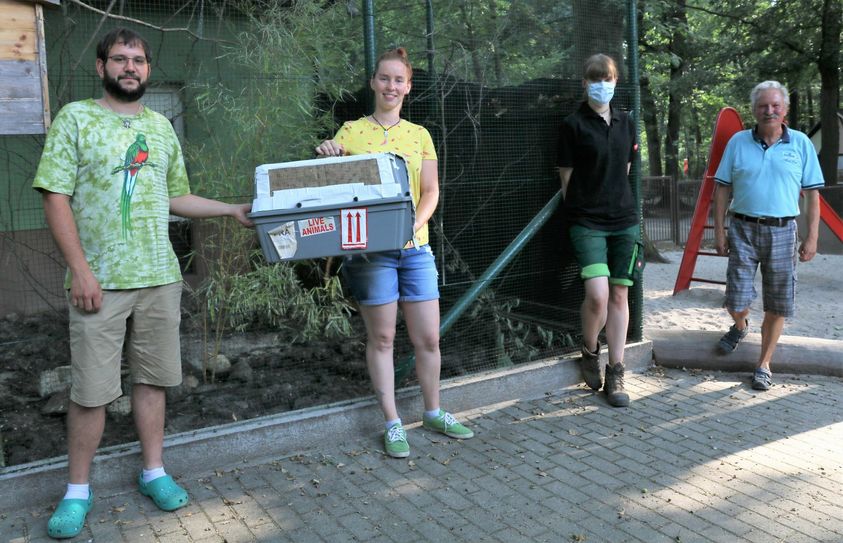 Peter Heppe freut sich mit Natalie Berndt über die Riesenwaldralle, die Jana Redelius und Joschka Schulz (von rechts) aus Stuttgart nach Finsterwalde gebracht haben. Foto:cjw