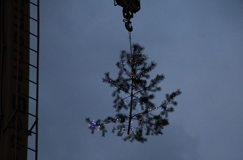 Hoch oben am Kran hängt der erste schwebende Weihnachtsbaum von Tätzschwitz.