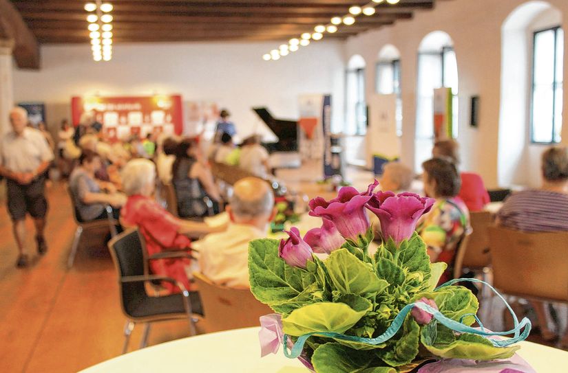 Seniorentag im Rathaus.