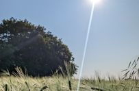 Landwirtschaft in der Lommatzscher Pflege.