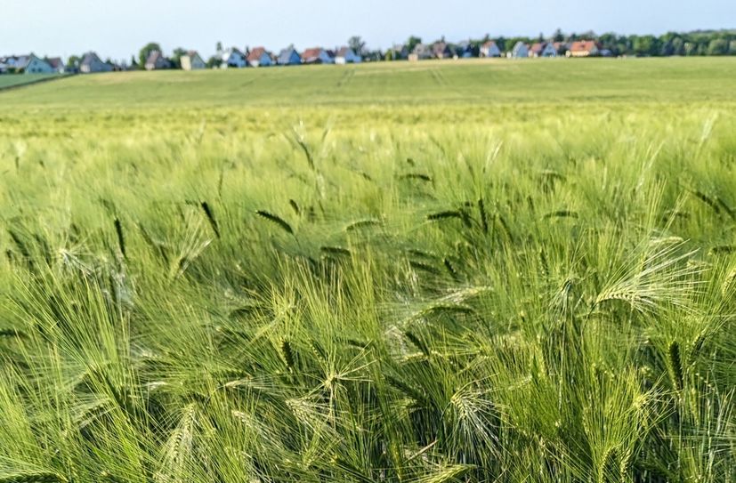 Landwirtschaft in der Lommatzscher Pflege.