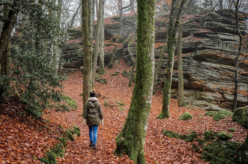 Die Idee zur Errichtung des Wanderweges entstand auf Initiative der beiden Tourismusverbände Spreewald e.V. und Dahme-Seenland e.V. gemeinsam mit den Städten Lübben, Mittenwalde, Kirchengemeinden, dem Paul-Gerhardt-Verein Lübben und weiteren Akteuren.