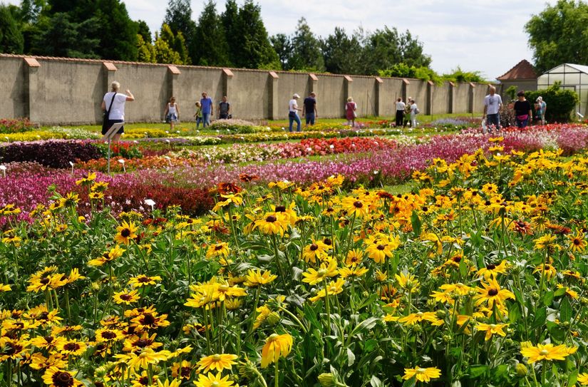 Große und kleine Gartenfreunde kommen beim Pillnitzer Gartentag auf ihre Kosten.
