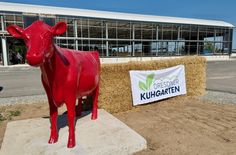 Der erste Kuhgarten Deutschlands wurde eingeweiht.