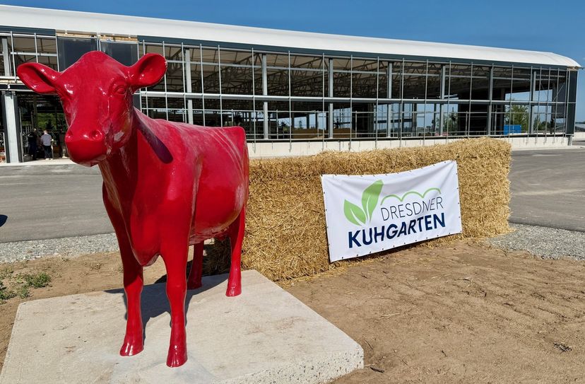 Der erste Kuhgarten Deutschlands wurde eingeweiht.