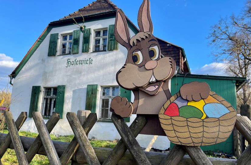 Wie wäre es mit einem Osterspaziergang in der Dresdner Heide?