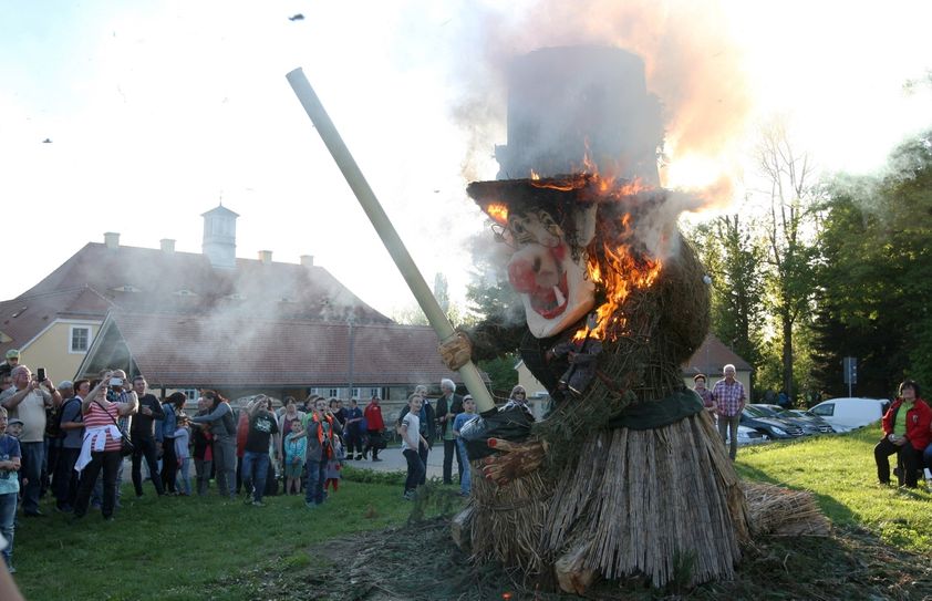 Am 30. April, 19 Uhr wird erneut eine knapp fünf Meter hohe Hexe auf der Festwiese im Schlosspark Graupa in Rauch und Flammen aufgehen. Foto: D. Förster