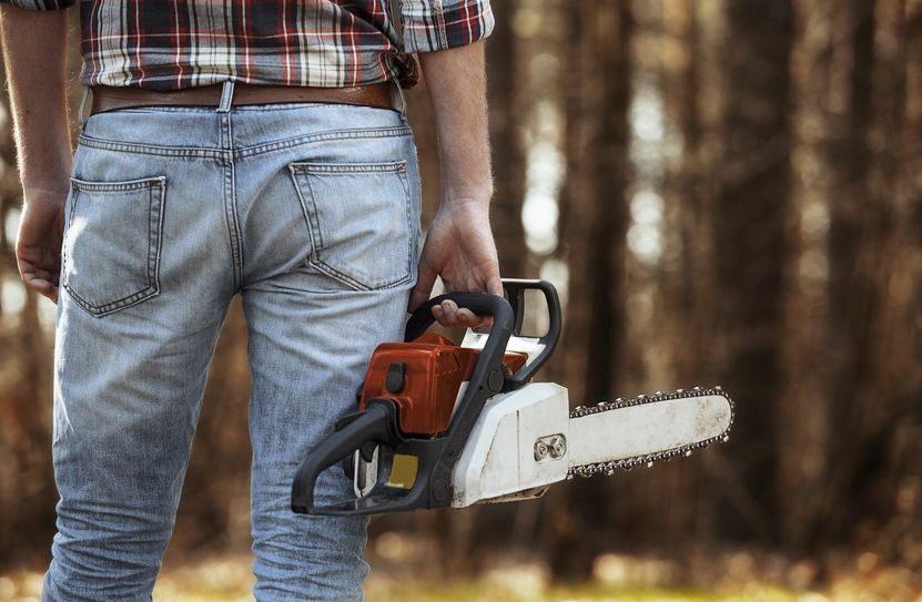 Ministerium: »Der Landkreis Elbe-Elster steht mit seinem hohen Anteil an Kleinprivatwald vor der Herausforderung der Organisation der Kleinwaldbesitzer.« Foto: nick_fedirko/adobe stock